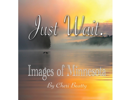 Livro Just Wait De Cheri Beatty (inglês)