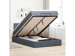 Vidaxl Cama Otomana Com Colchão Leds 120x190cm Veludo Cinza-escuro