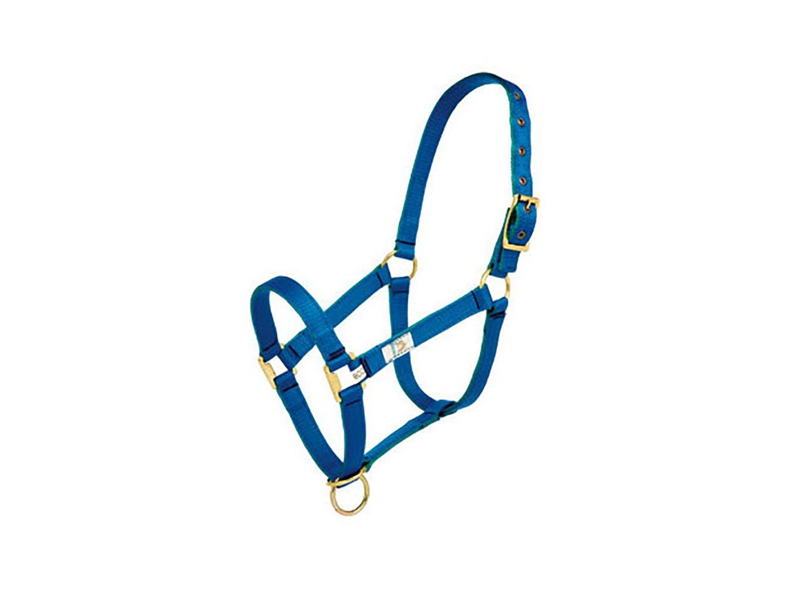 Camada Dupla Cabeçada Nylon Azul Cobmehis