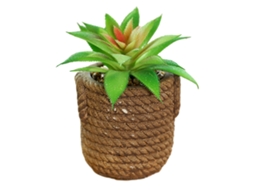 Flor Artificial Simulada Bonsai Suculento Grande Decoração Criativa Planta Artificial em Vaso NEVEANCE