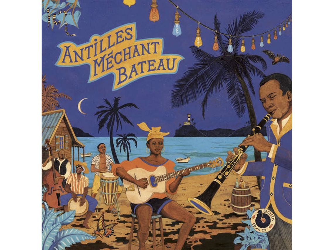 CD Antikörper (1CDs)