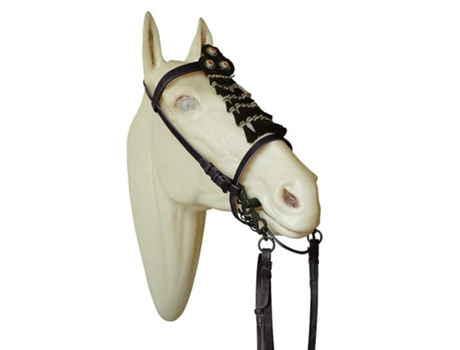 Focinheira Ocidental Econômica e Freio de Rédeas 01312015Nf Beige Fullmarjoman Distribucion