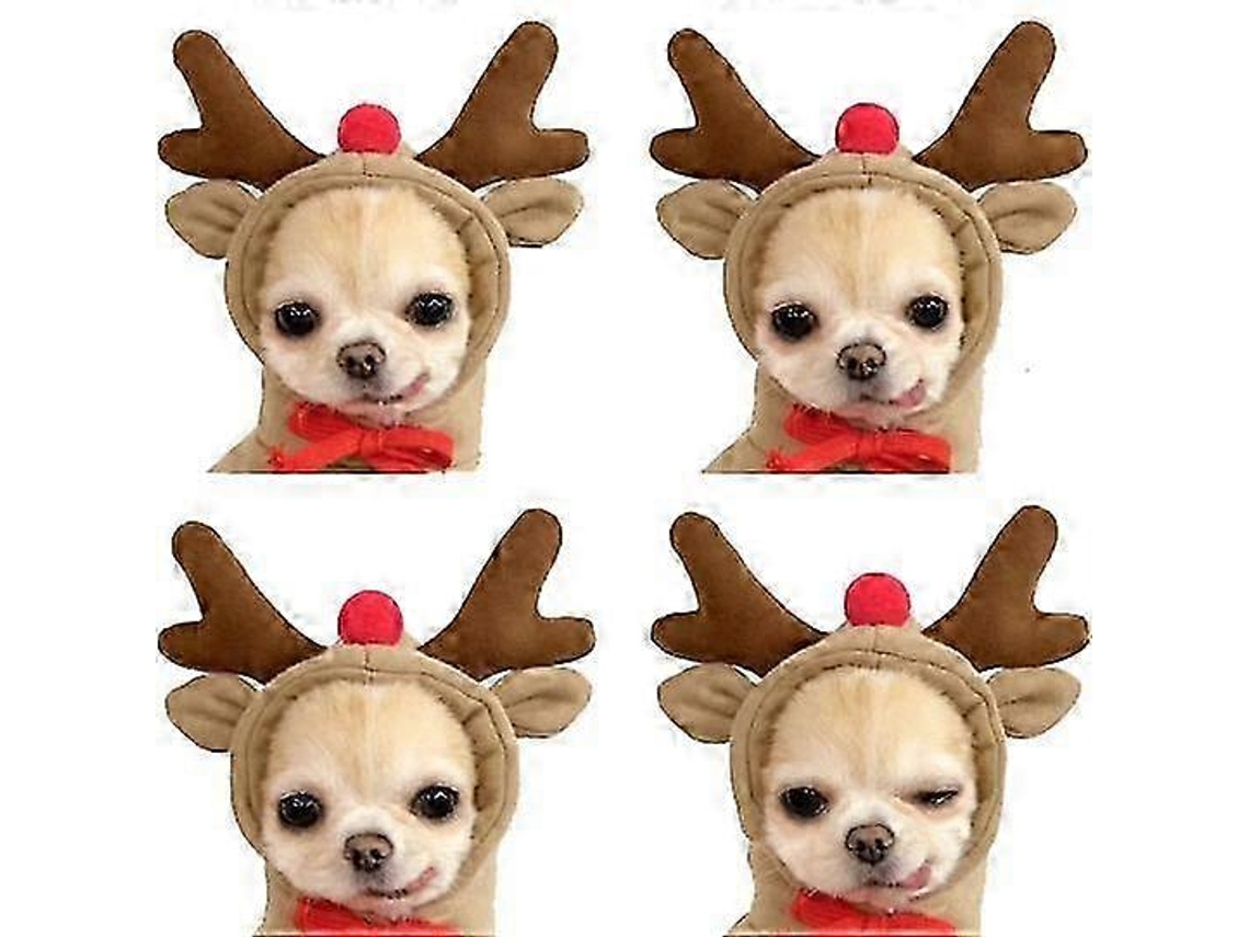 Sweatshirt Com Capuz Para Cão C3