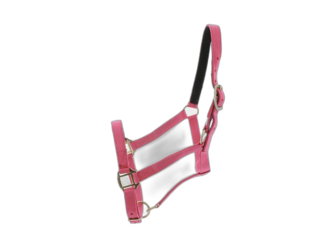 Cabresto para cavalos Norton Doublé cuir
