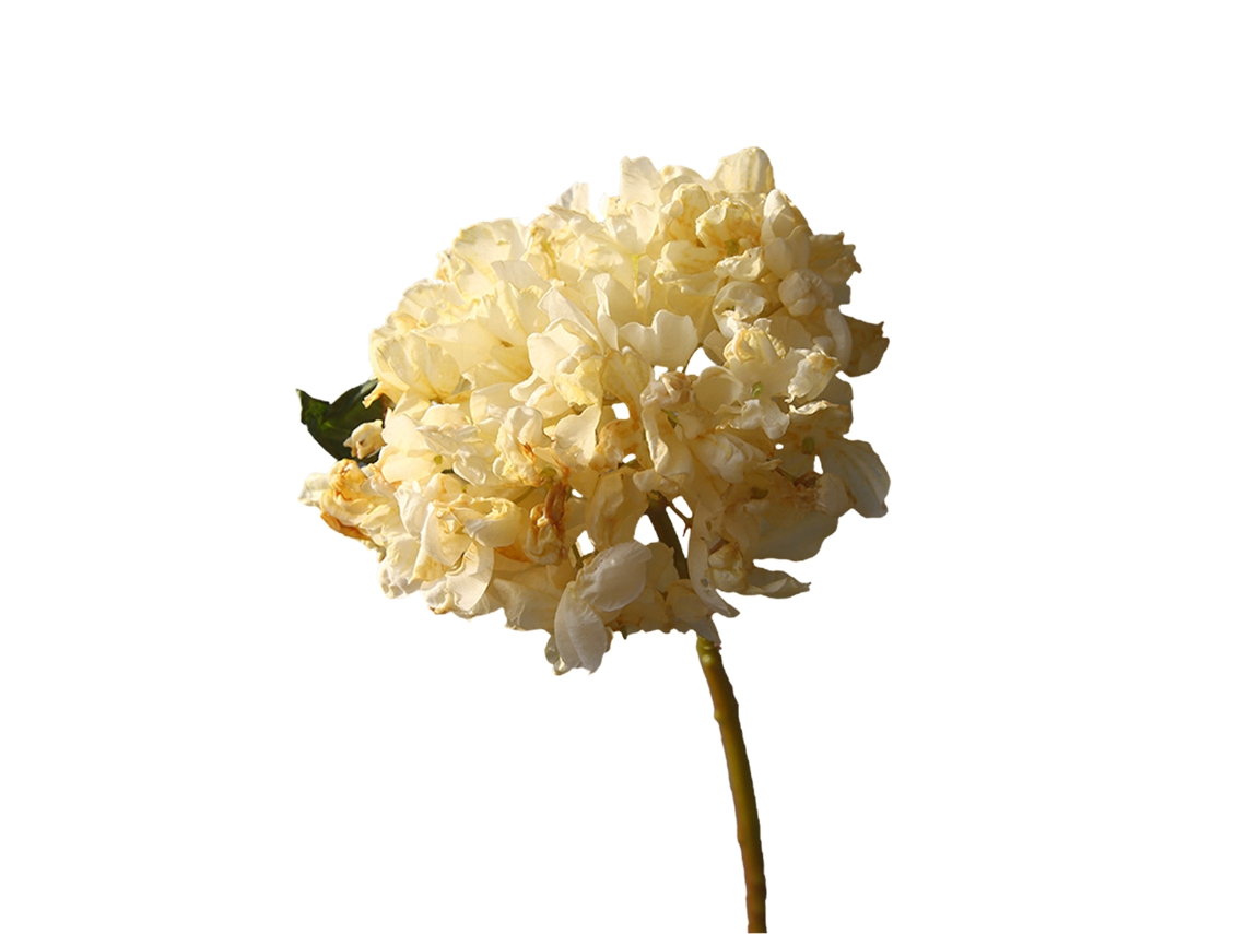 Bouquet de Flores Artificiais com Hortênsias LAXISCREED