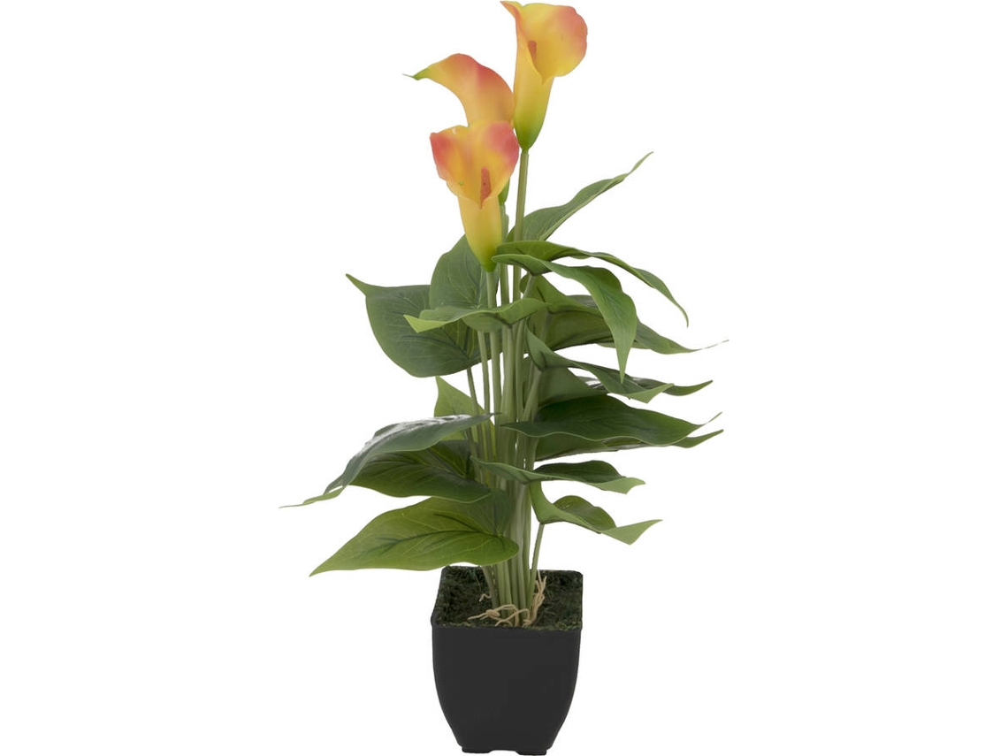 Planta Artificial EUROPALMS Mini Calla (Amarelo - 43 cm)