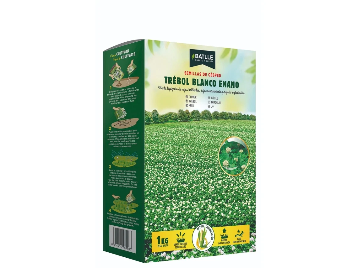 Sementes De Trevo Anão Branco Repens 1 Kg
