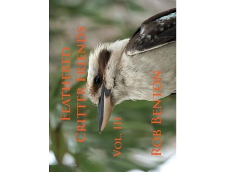 Livro Feathered Critter Friends Vol. Iii De Rob Benton (inglês)