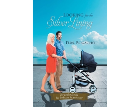 Livro Looking For The Silver Lining De Dm Bogacho (inglês)