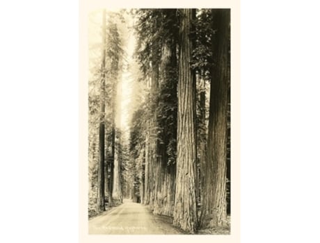 Livro Vintage Journal The Redwood Highway De Found Image Press (inglês)