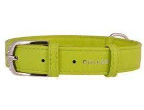 Coleira para Cães  Glamour (Verde - 27-36 x 1.5 cm - Couro)