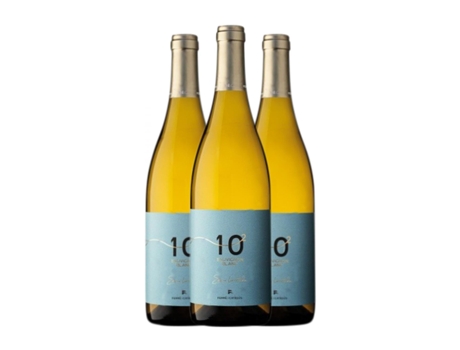 Vinho branco FERRÉ I CATASÚS 10 al Quadrat Sauvignon Branca Penedès Jovem (0.75 L - 3 Unidades)