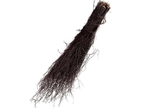 Vassoura SYNX TOOLS de Ramos Soltos Vassoura de Bétula Rijsbebeem Vassoura Estável Sem Cabo
