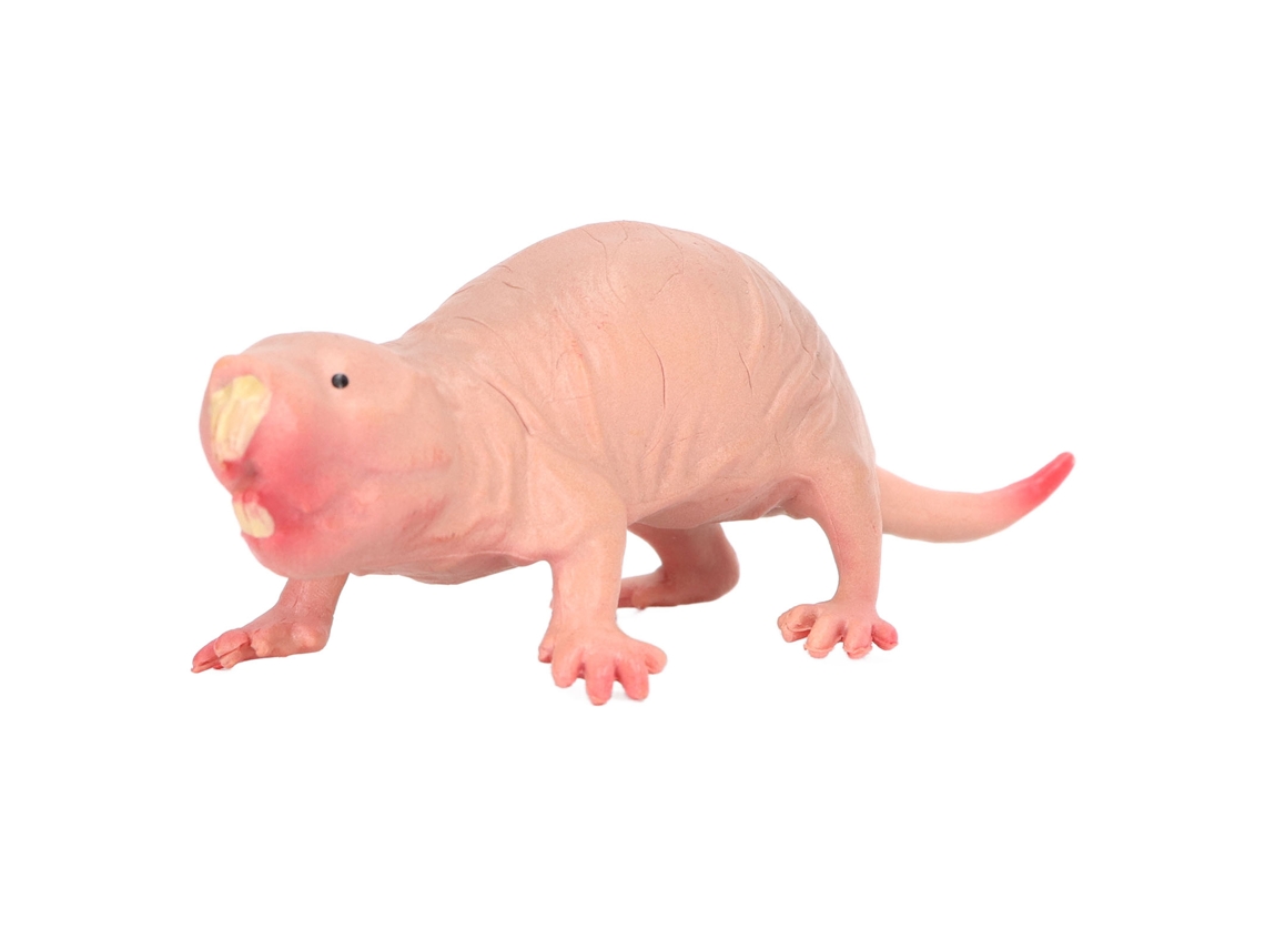 Primerox estátua de Toupeira de Plástico Simulada Brinquedo Decorativa para e Lar Infantil
