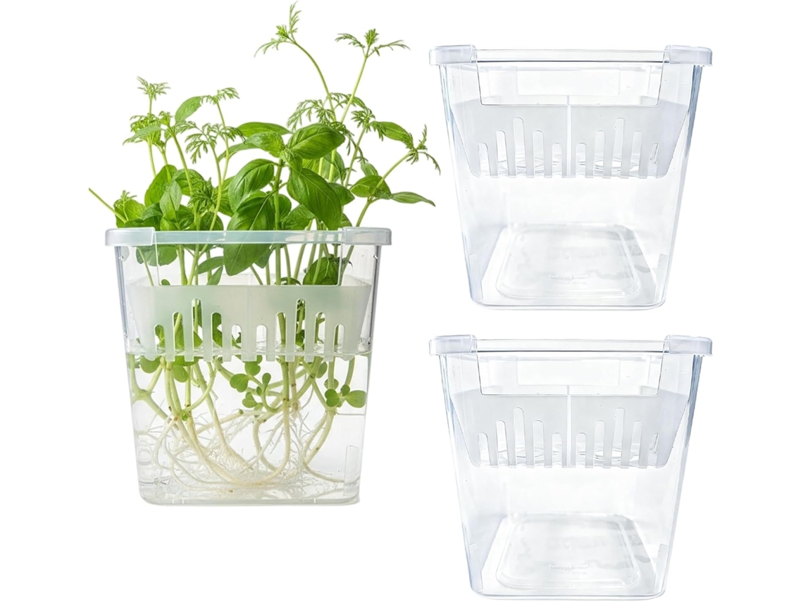 Vasos de Rede para Hidroponia 3 Unidades Vasos Transparentes para Propagação de Plantas Vasos de 10 Cm para Mudas com CHABERLU