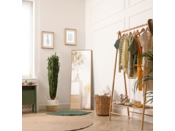 Wall Mirror, Tall, Pine Wood Frame, 45l X 125h X 4.8d Cm