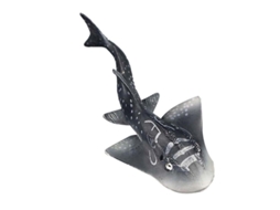 1pcs Brinquedo Animal Infantil Allinless