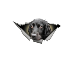 Adesivo 3d Cão Personalizado Carro Janela Parede Caderno Prova D'água S/MARCA