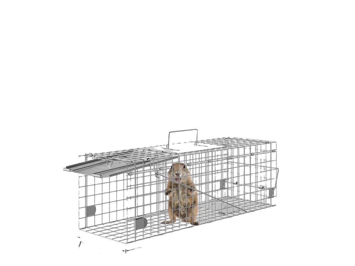 Armadilha Para Animais, Design Humanitário, Construção Durável, Prata