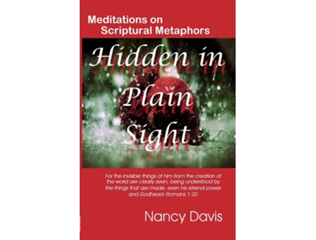 Livro Hidden In Plain Sight De Nancy Davis (inglês)