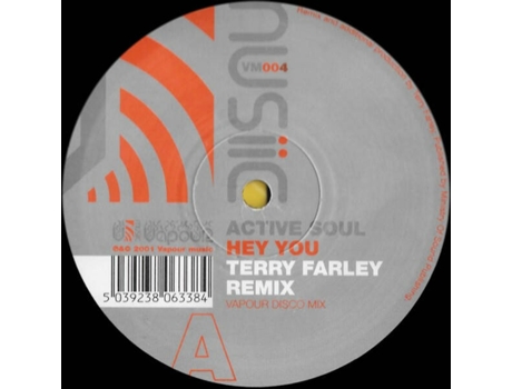 Vinil Hey You Terry Farley Remixes Vapour Music