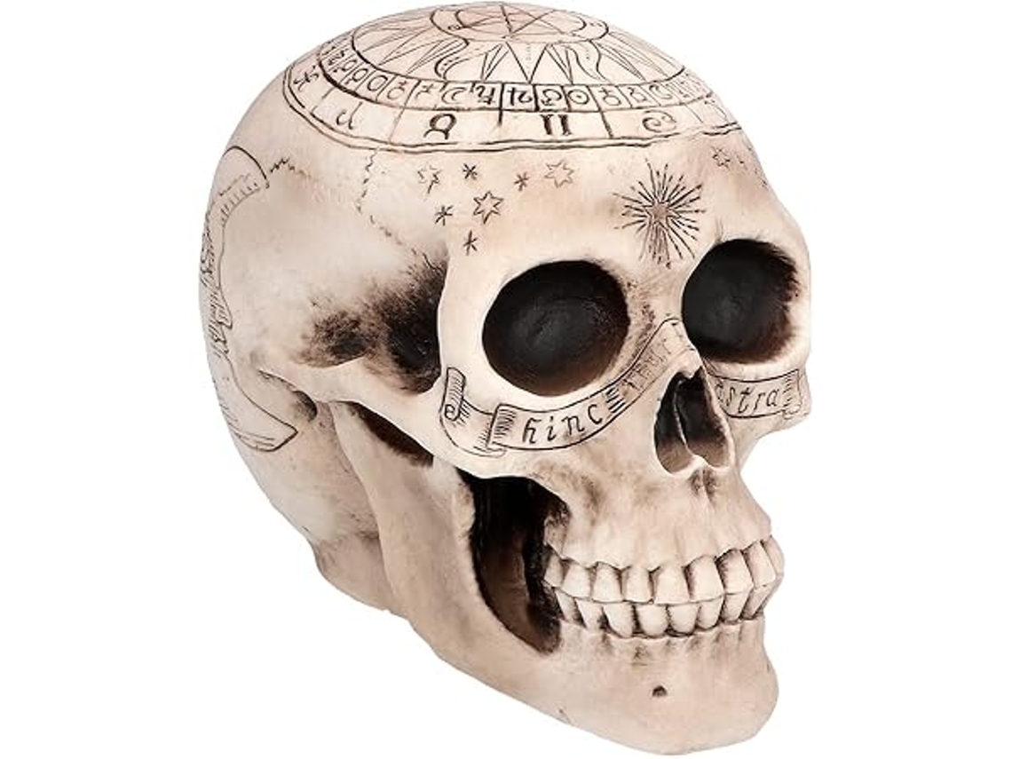 Caveiras e Enfeites em Forma de Caveira, 20 Cm, Objetos Decorativos, Dia Das Bruxas, Ergonômico, Uso Diário STELASPLEN