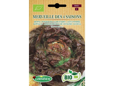 Sementes  Bio Sementes Alface Maravilha De 4 Estações