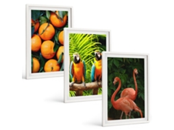 Conjunto De Pinturas Detalhes De Frutas Tropicais Espelharte (3 Peças 40x60 Cm)