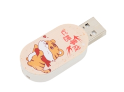 Pen Drive LAXISCREED Anti emi Armazenamento Dados