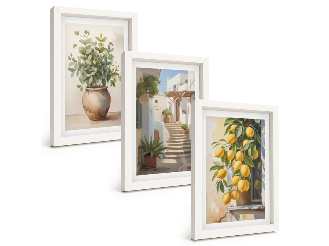 Conjunto De Pinturas Plantas, Plantas Em Vasos, Limões, Rua Moldura Branca Quadros Para A Sala De Estar Espelharte (3 Peças 20x30 Cm)