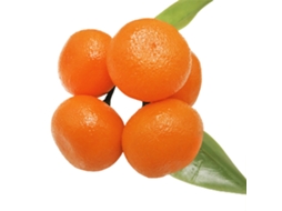 Espuma de Laranja com Açúcar 3,5cm diâmetro 9cm comprimento LAXISCREED