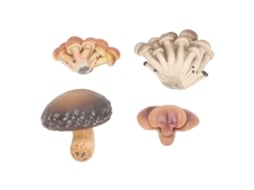 Mali 4pcs Conjunto de Modelos de Cogumelos em Miniatura Simulados para Decoração e Educação Infantil