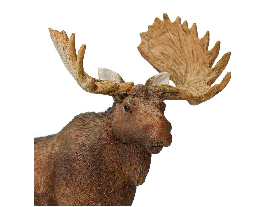 SAFARI Bull Moose