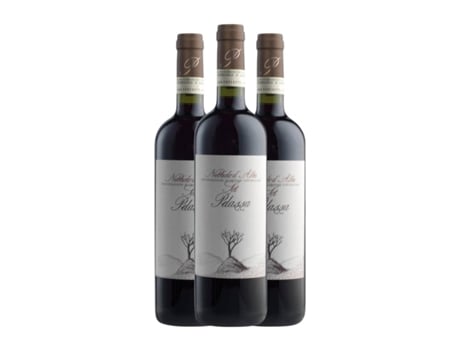 Vinho DANIELE PELASSA Sot Nebbiolo Nebbiolo d'Alba (0.75 L - 3 Unidades)