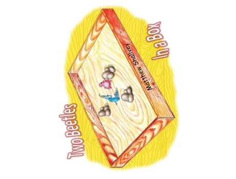 Livro Two Beetles In a Box Mr Matthew J Shallvey (Inglês)