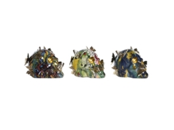 Figura Decorativa DKD HOME DECOR Resina Caveira Moderno (15,5 x 10,5 x 11 cm)