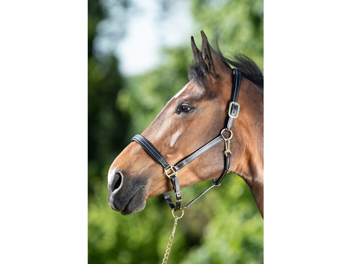 Cabresto de couro para cavalos HFI
