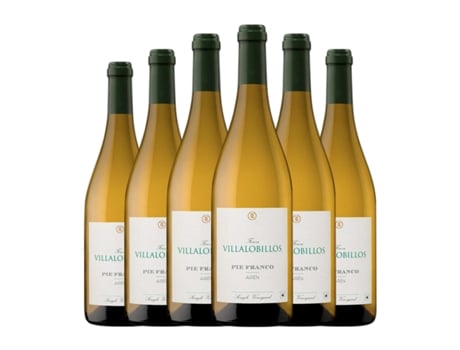 Vinho branco GARCÍA DE LARA Finca Villalobillos Pie Franco Airén Vino de la Tierra de Castilla (0.75 L - 6 Unidades)