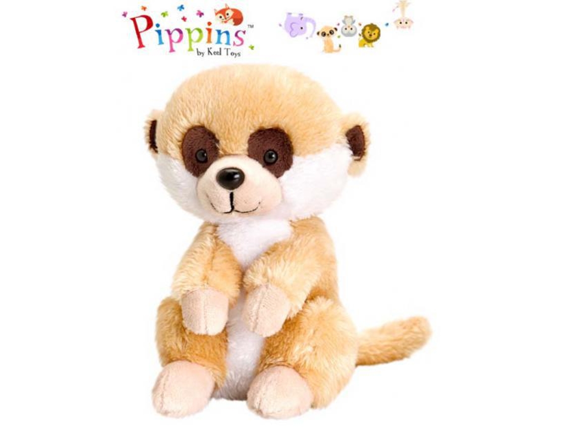 Pippins Suricata