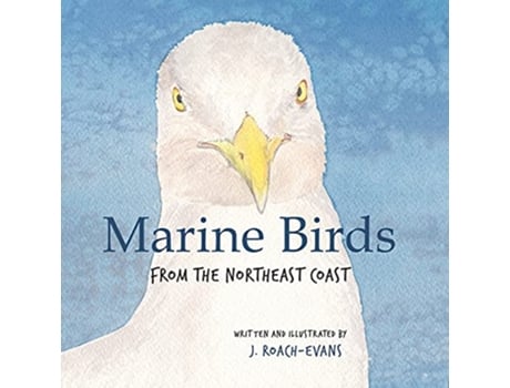 Livro Marine Birds from the Northeast Coast de Joanne RoachEvans (Inglês)