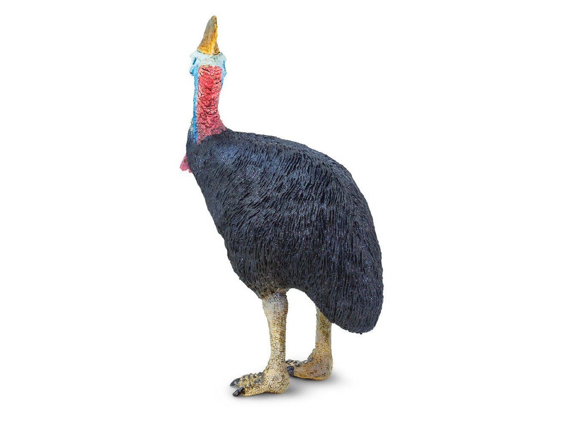 SAFARI Cassowary