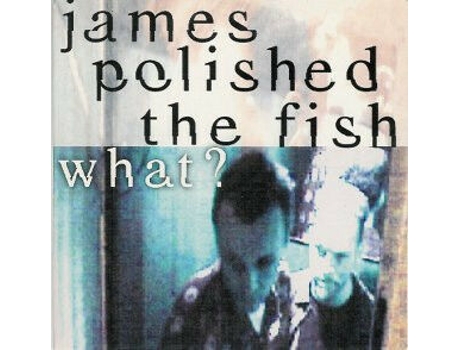 Vinil What, James Polished The Fish Fridge Records