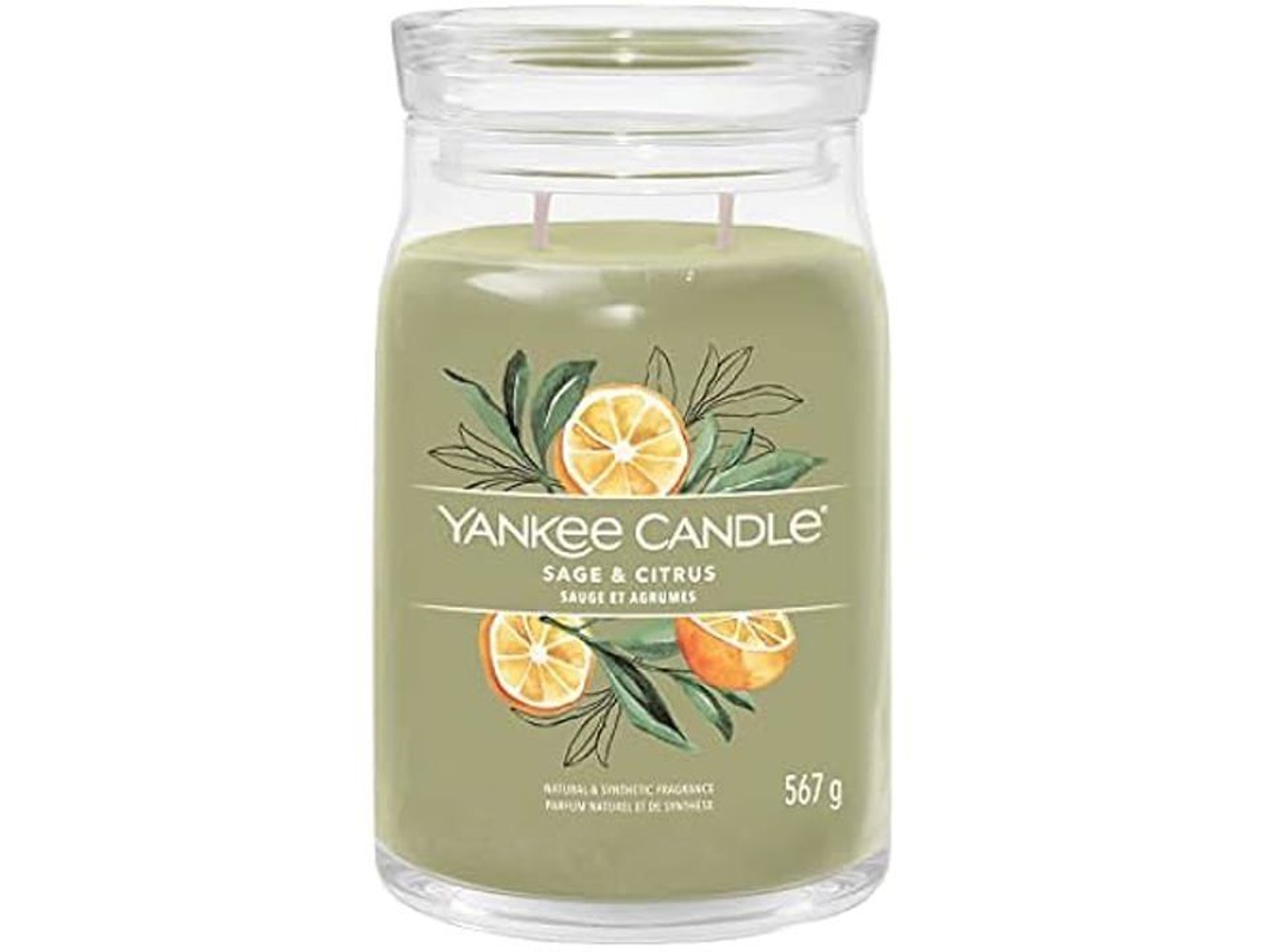 Yankee Candle Vela Grande Signature Sálvia & Cítrico