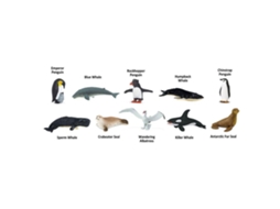 SAFARI Antarctica Toob