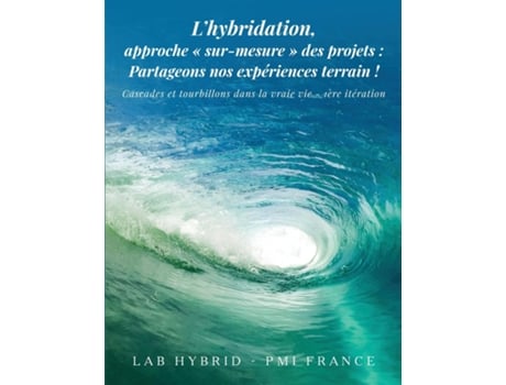 Livro Lhybridation, approche sur-mesure des projets Cascades et tourbillons dans la vraie vie de PMI FRANCE (Inglês)