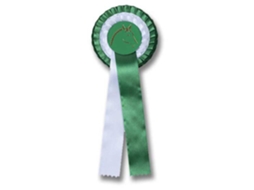 Faixa Premiada Verdewaldhausen