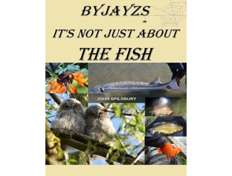 Livro Its Not Just About the Fish de JAYZS (Inglês)