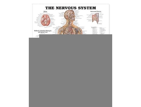 Livro Nervous System Anatomical Chart de Anatomical Chart Company (Inglês)