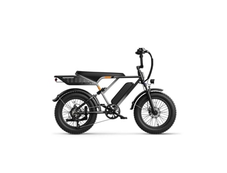 Bicicleta Elétrica Jasion Retrovolt Motor 500w 48v12.5ah Pneus De 20 Polegadas Travões Mecânicos Prata Degradê