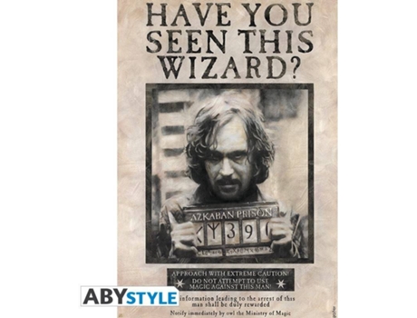 Poster  Harry Potter Have You Seen This Wizard